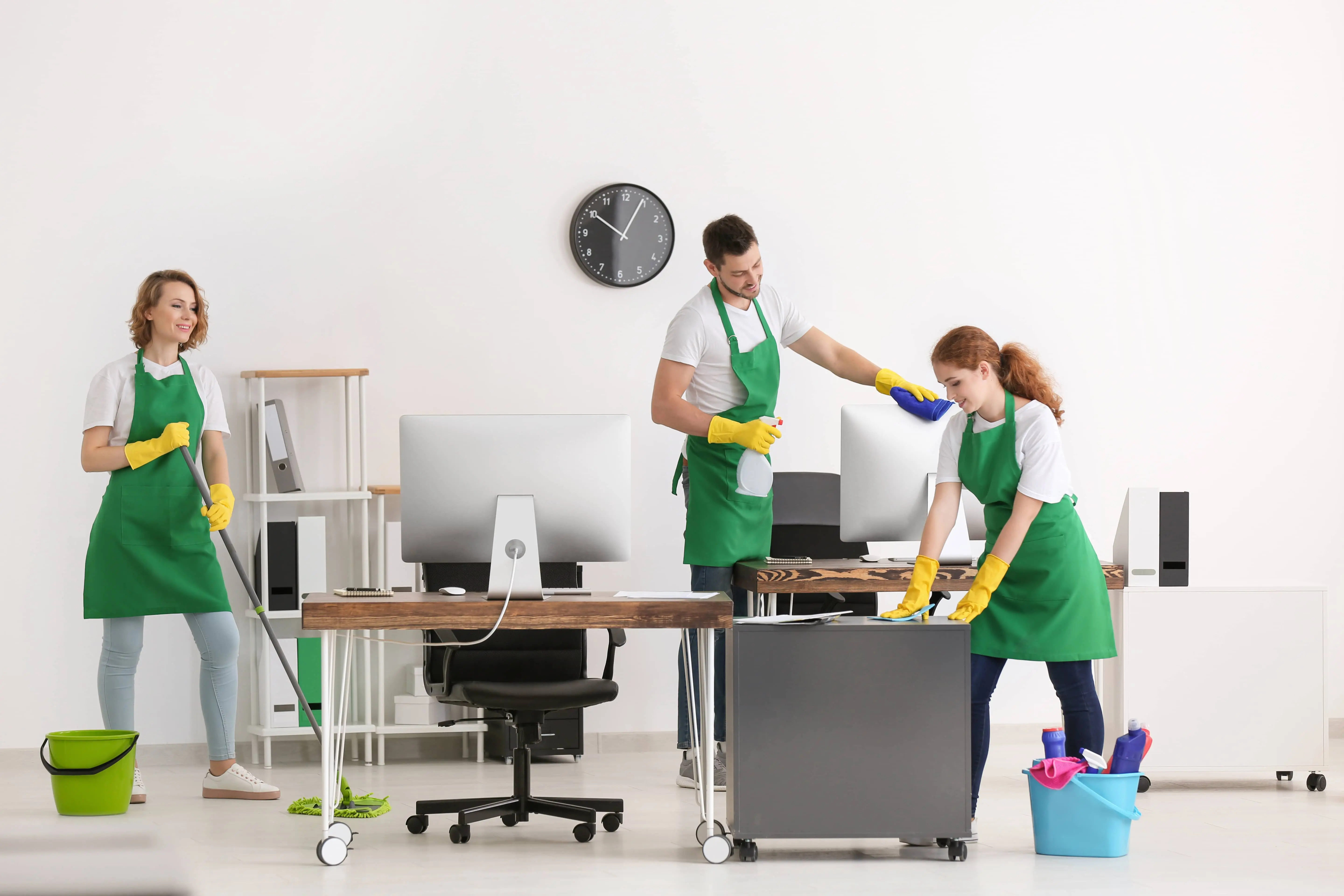 Professional cleaning team
